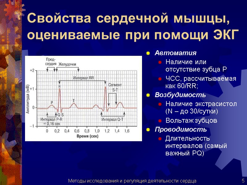 Свойства сердечной мышцы, оцениваемые при помощи ЭКГ Автоматия Наличие или отсутствие зубца Р ЧСС,